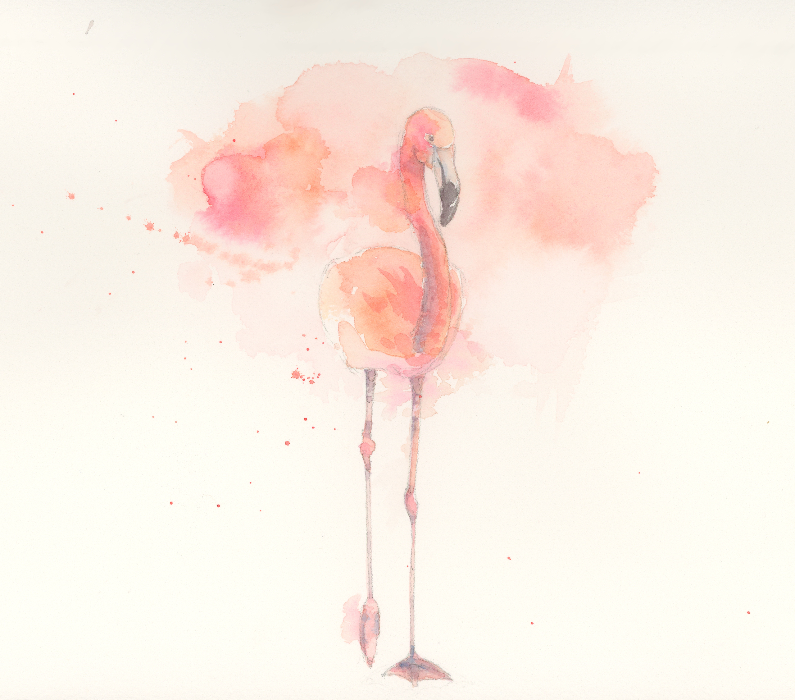 Flamingo watercolor, flamingo painting, loose watercolor flamingo